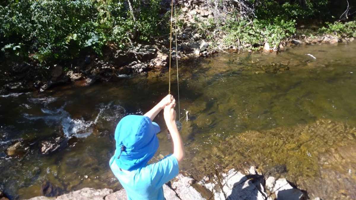 Small creek fly-fishing in the Tahoe Basin