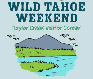 Wild Tahoe Weekend Taylor Creek Lake Tahoe