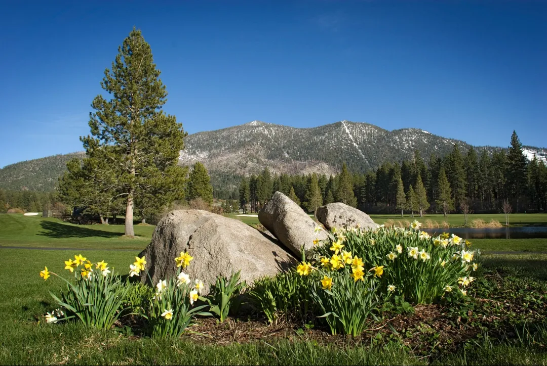 Edgewood Tahoe