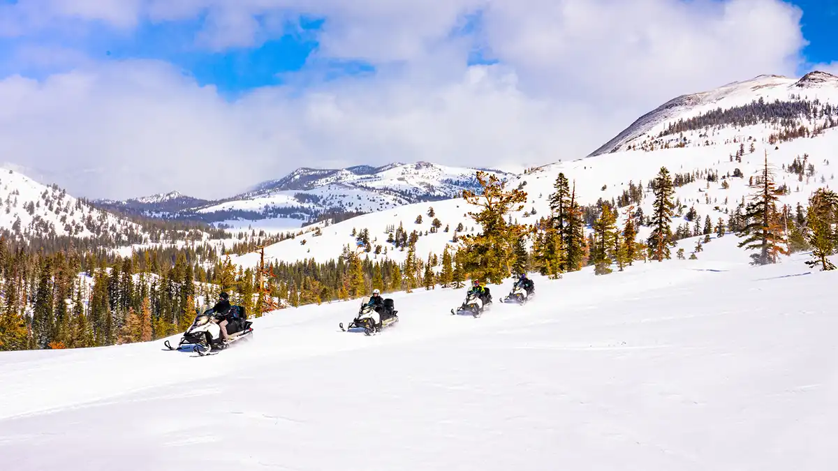 Lake Tahoe Adventures Snowmobile & ATV Tours