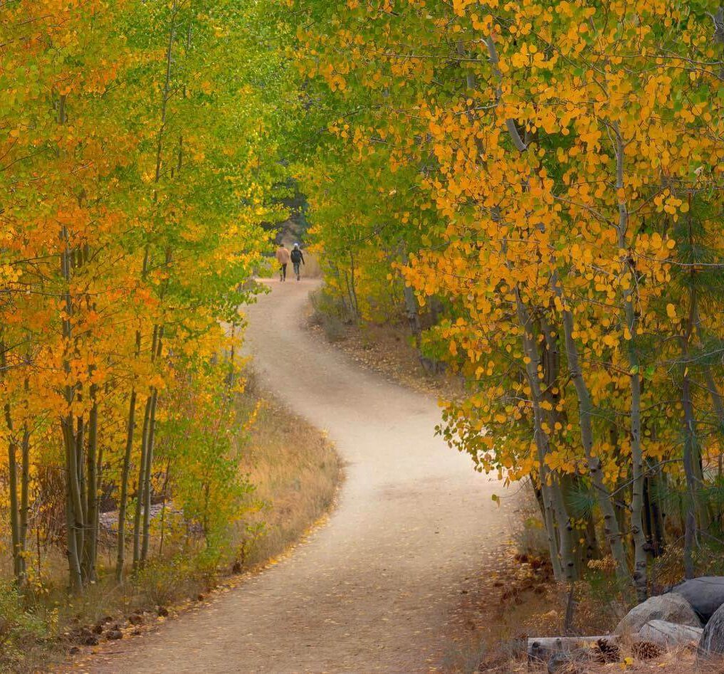 Spooner Lake Trail Lake Tahoe in the Fall