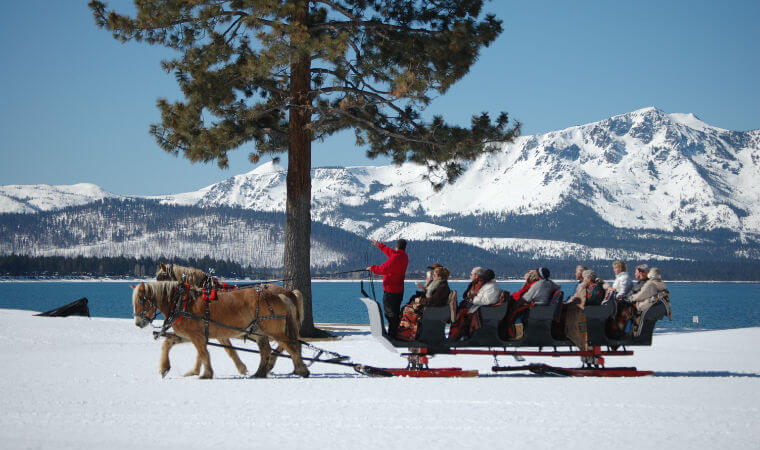 Borges Family Sleigh and Carriage Rides