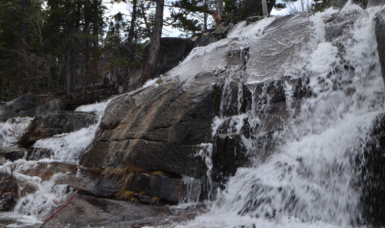 are dogs allowed at cascade falls