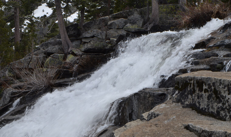 are dogs allowed at cascade falls