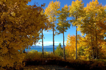 Fall in Lake Tahoe