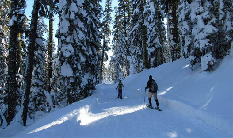 Snowshoe Tahoe Echo Lake 