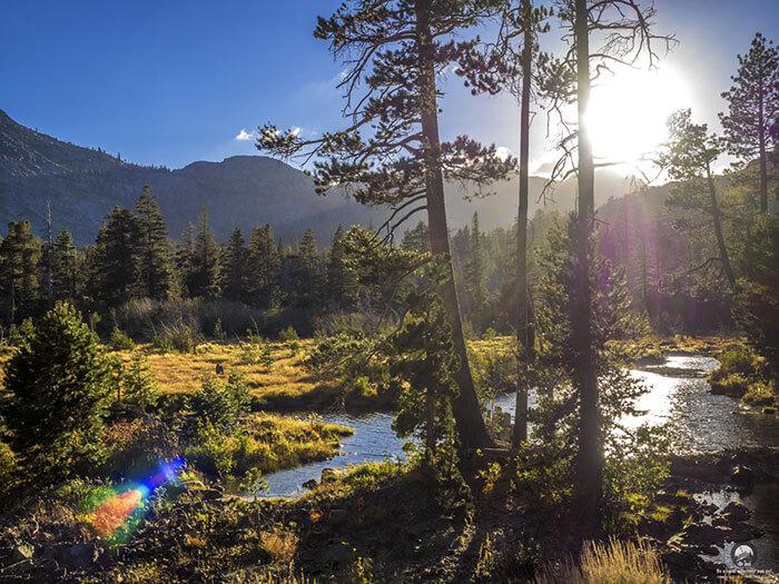 Nature Scene Stream near Fallen Leaf Lake