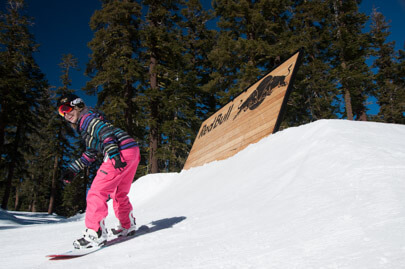 Novices of Skiing 