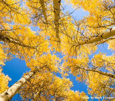 South Lake Tahoe changes autumn colors