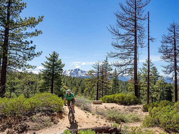 Tahoe Powerline Mountain Bike Trail Lake Tahoe