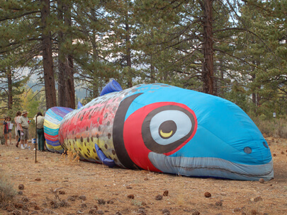 Taylor Creek Fall Fish Fest 