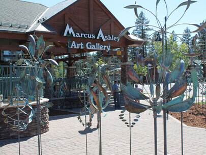 Marcus Ashley Art Gallery 