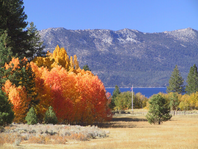 Fall Colors Borens Meadow Lake Tahoe