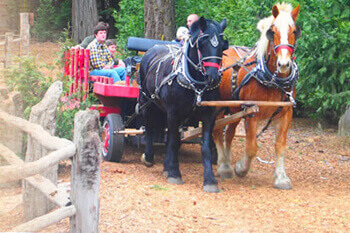 Camp Richardson Corral