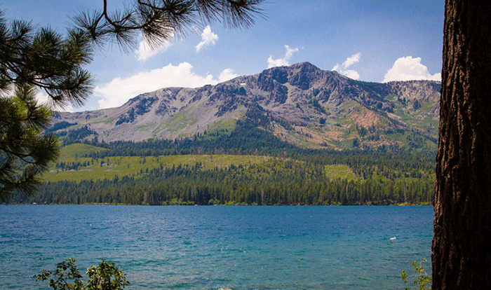 Fallen Leaf Lake 