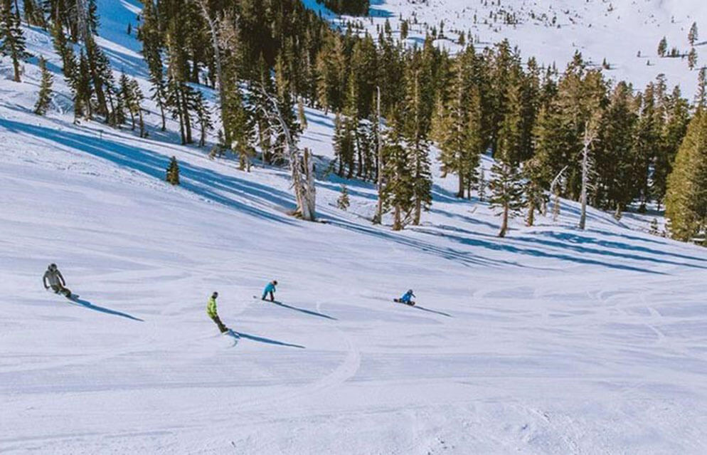 Kirkwood Mountain Resort Lake Tahoe Groomer Run