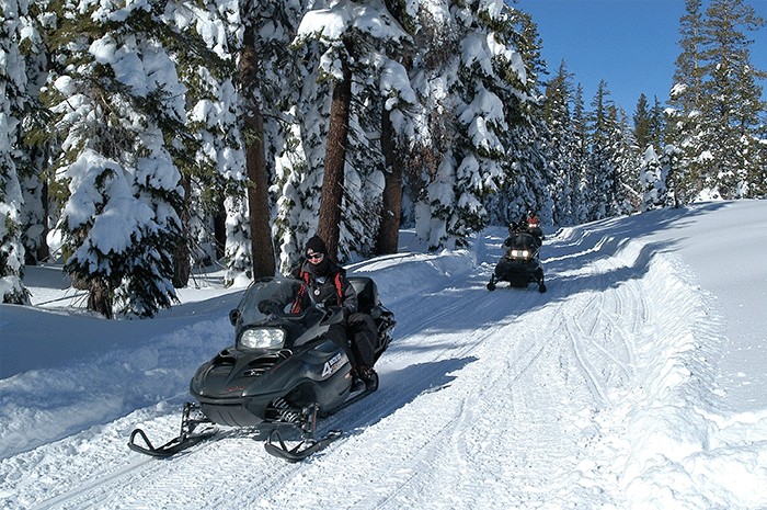 Lake Tahoe Adventures Snowmobiling