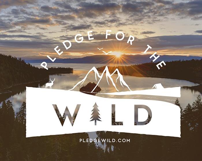 Pledge for the Wild Lake Tahoe