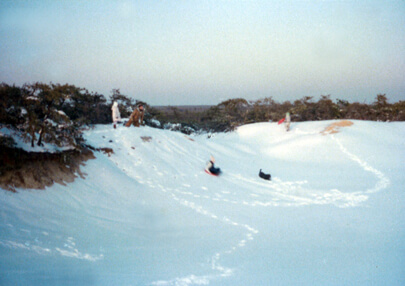 Family Sledding in the snow