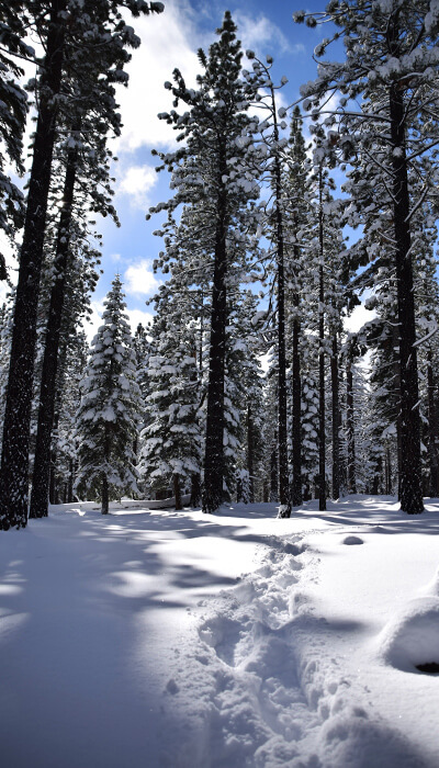 snowshoeing south lake tahoe