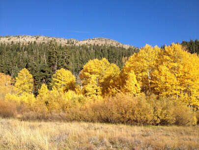 Fall Colors at Spooner Lake