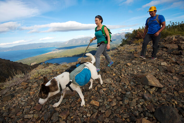 Mt. Tallac Hike with the Dog Lake Tahoe