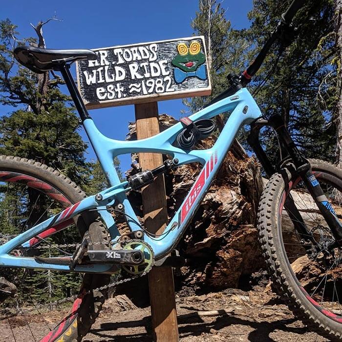 Mr. Toads/Saxon Creek Bike Trail Lake Tahoe