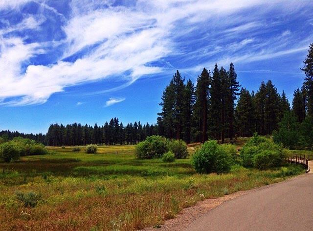 Rabe Meadow Bike Path Lake Tahoe
