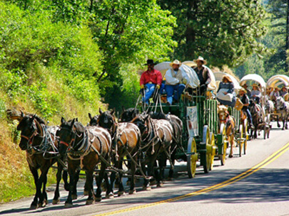 Wagon Train