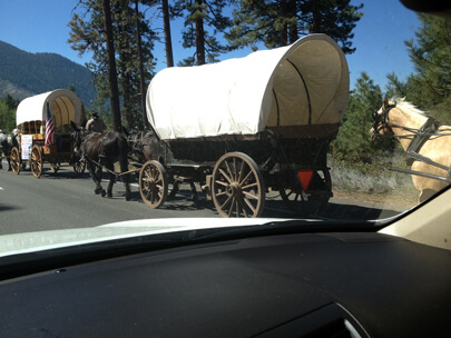 Wagon Train 