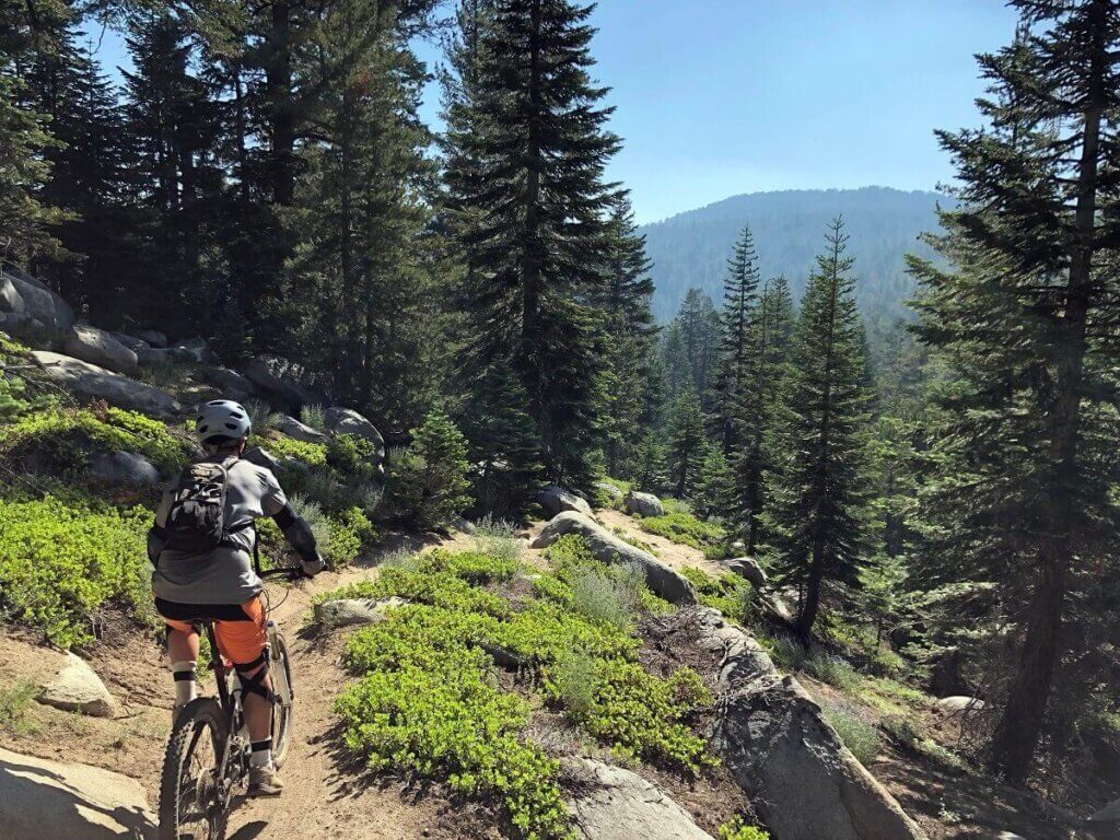 Mr. Toad's Wild Ride Lake Tahoe