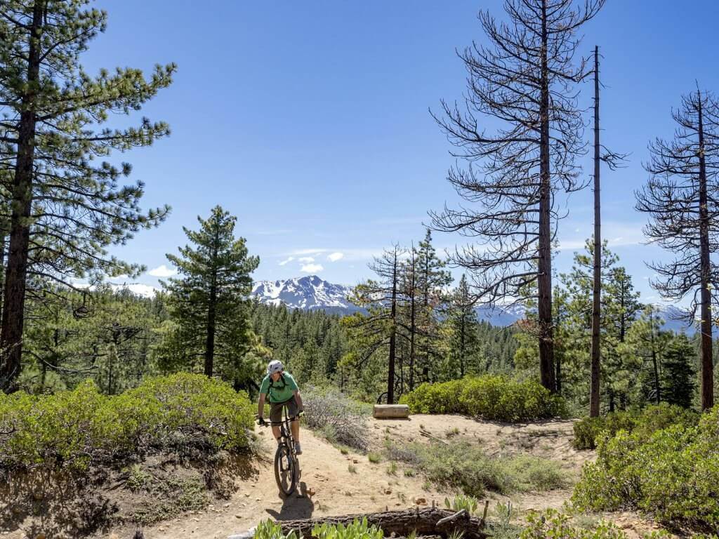 Powerline Trail Lake Tahoe