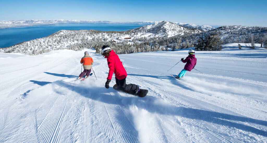 are dogs allowed at heavenly ski resort