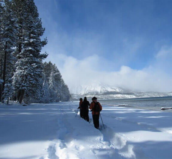 Tahoe Snowshoe Rentals To As Agile As A Snowshoe Hare Visit