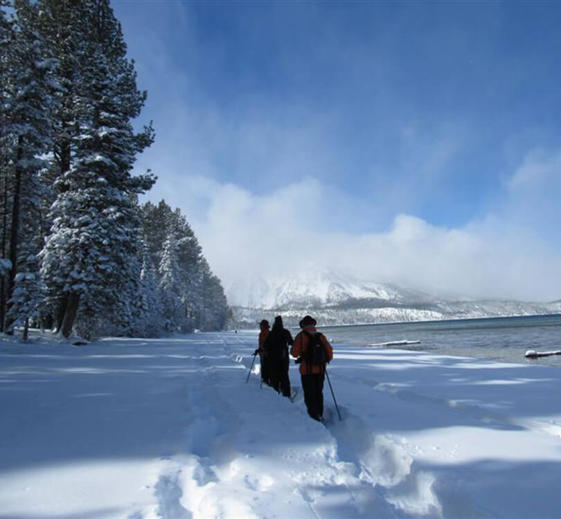 Love At Frost Sight – Where To Start Your Snowshoeing Adventures In Lake Tahoe