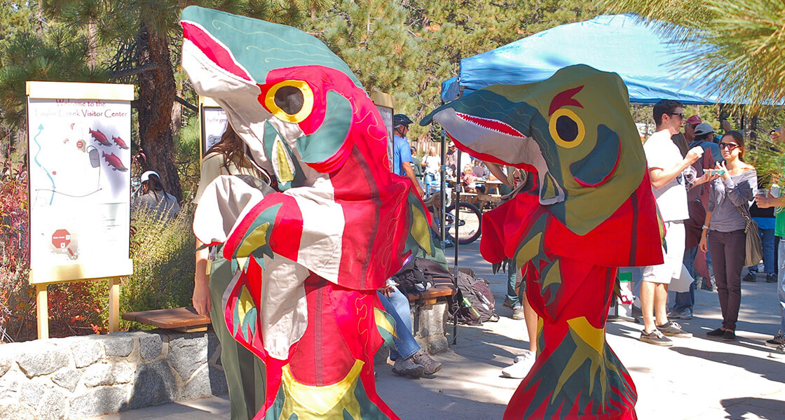 Kokanee Salmon costumes at the Fall Fish Festival at Lake Tahoe