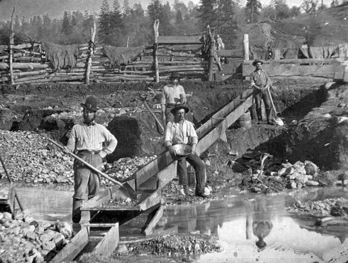 Old Photo of California Golf Rush