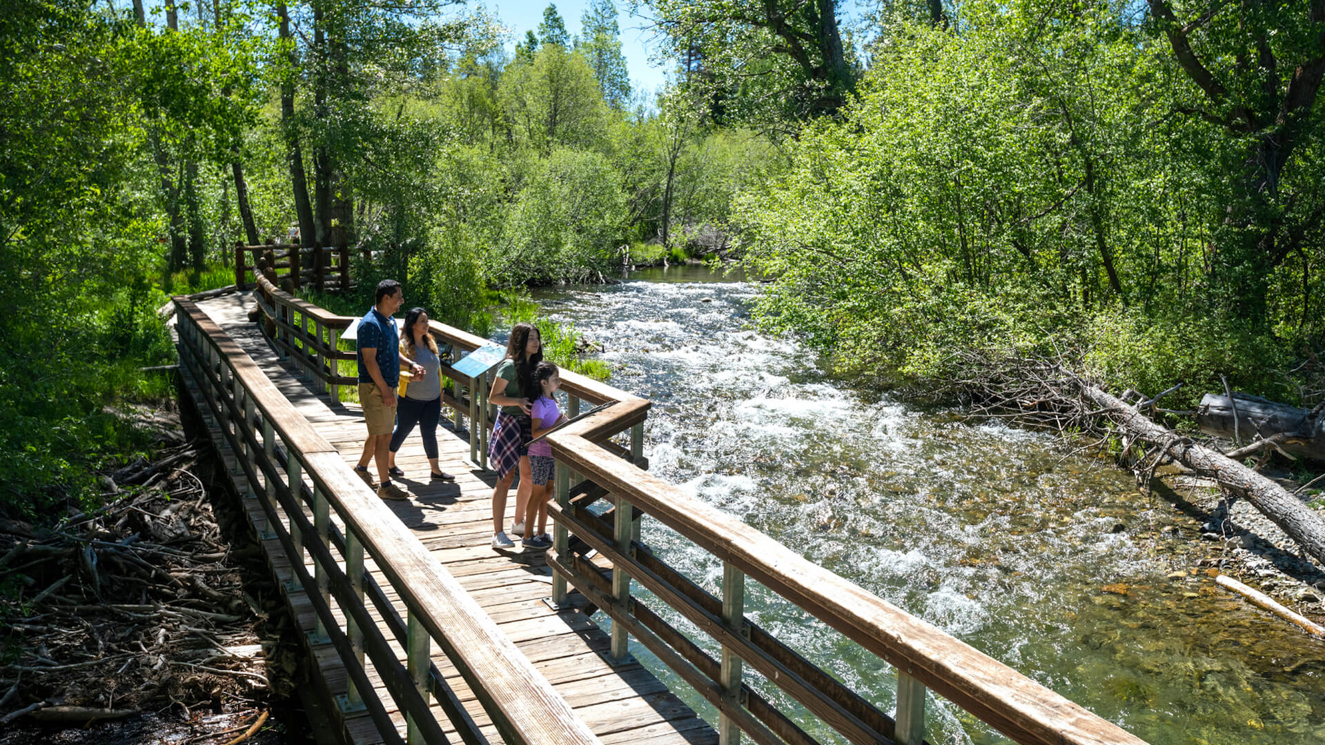 Family exploring the Rainbow Trail at Taylor Creek - Rachid Dahnoun / LTVA