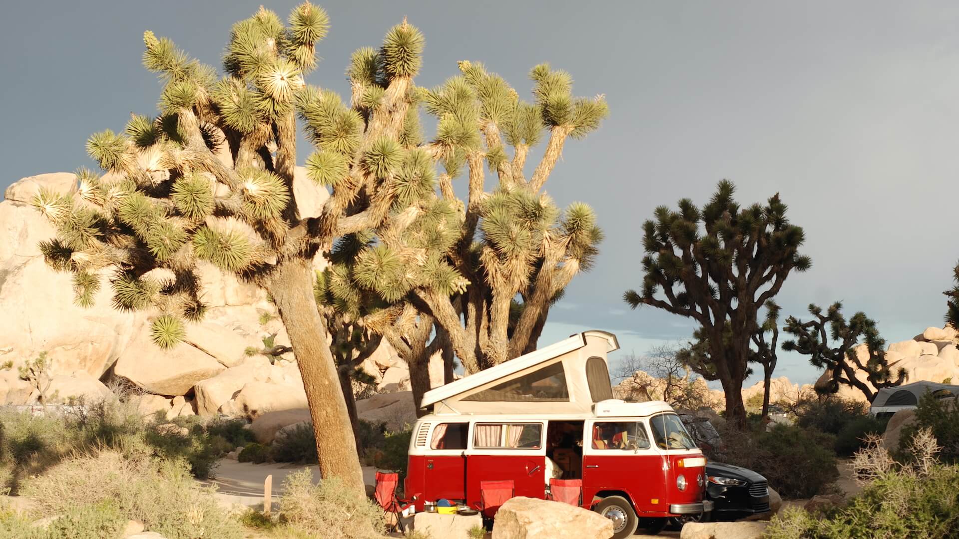 Joshua Tree National Park - Wikipedia Creative Commons