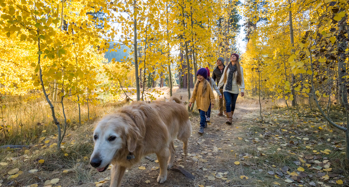 Don’t Miss The Incredible Lake Tahoe Fall Colors And Activities
