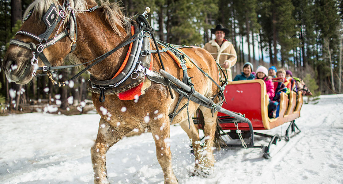 Sleigh Ride Lake Tahoe - Experience