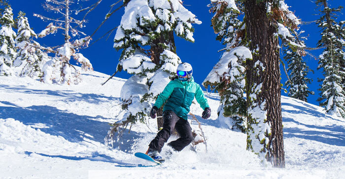 blue zone lake tahoe ski rentals