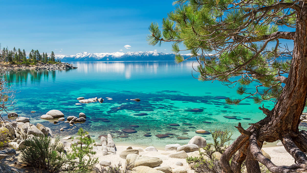Scenic Tahoe Blue Green Water