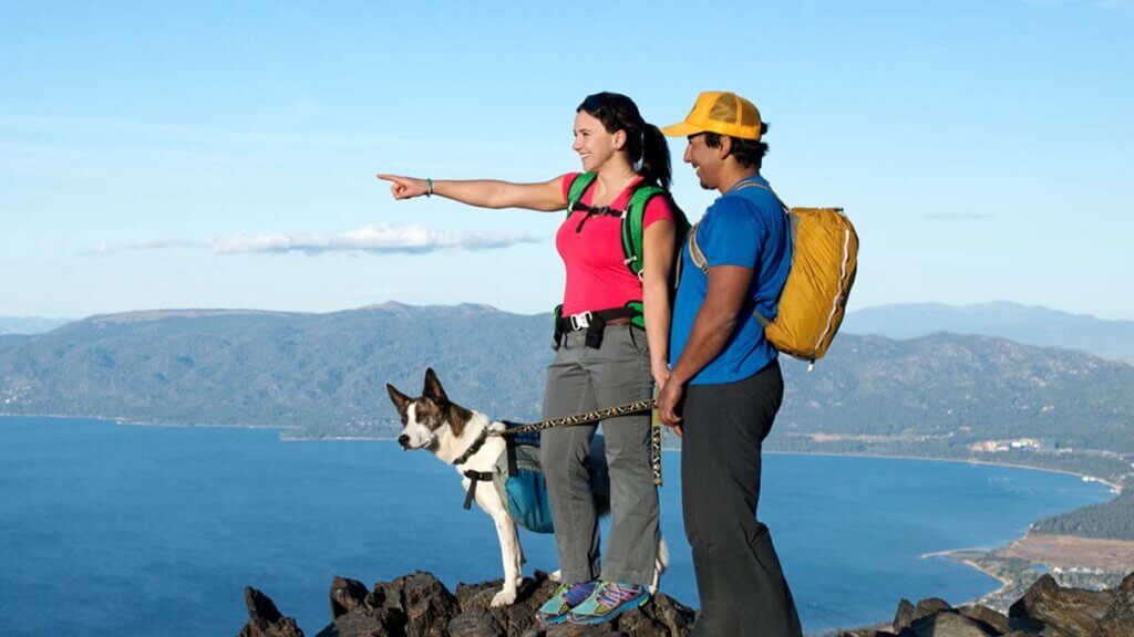 couple hiking with dog