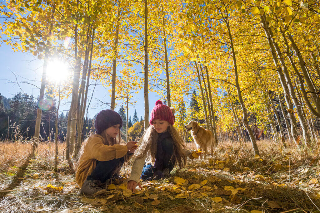 Kids playing outside Autumn leaves Lake Tahoe