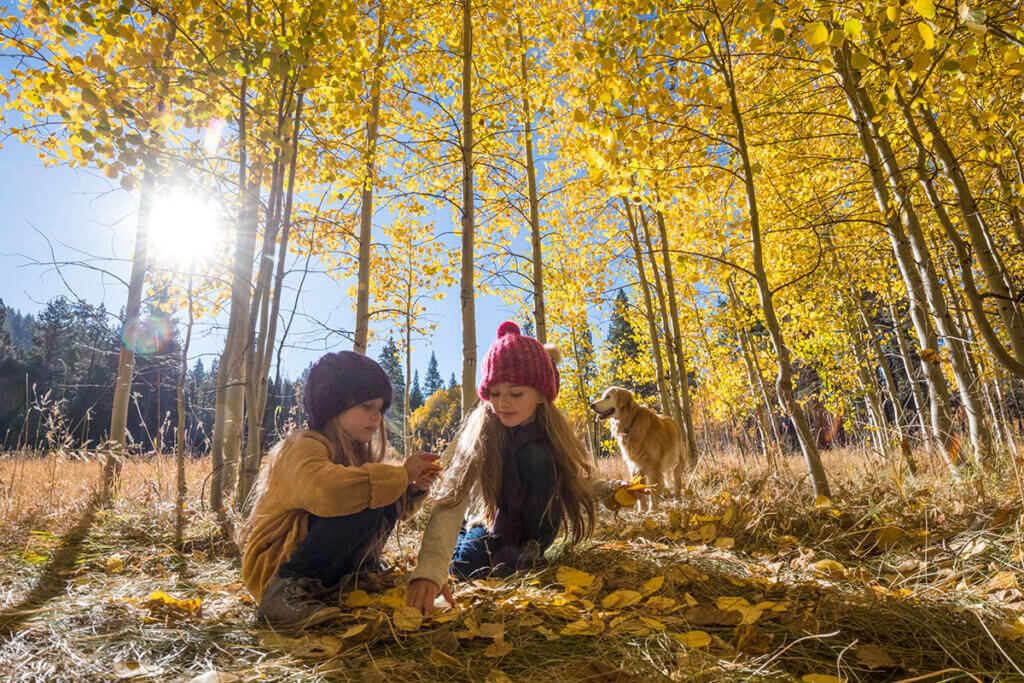 4 Local Secrets for Fall Activities in Lake Tahoe