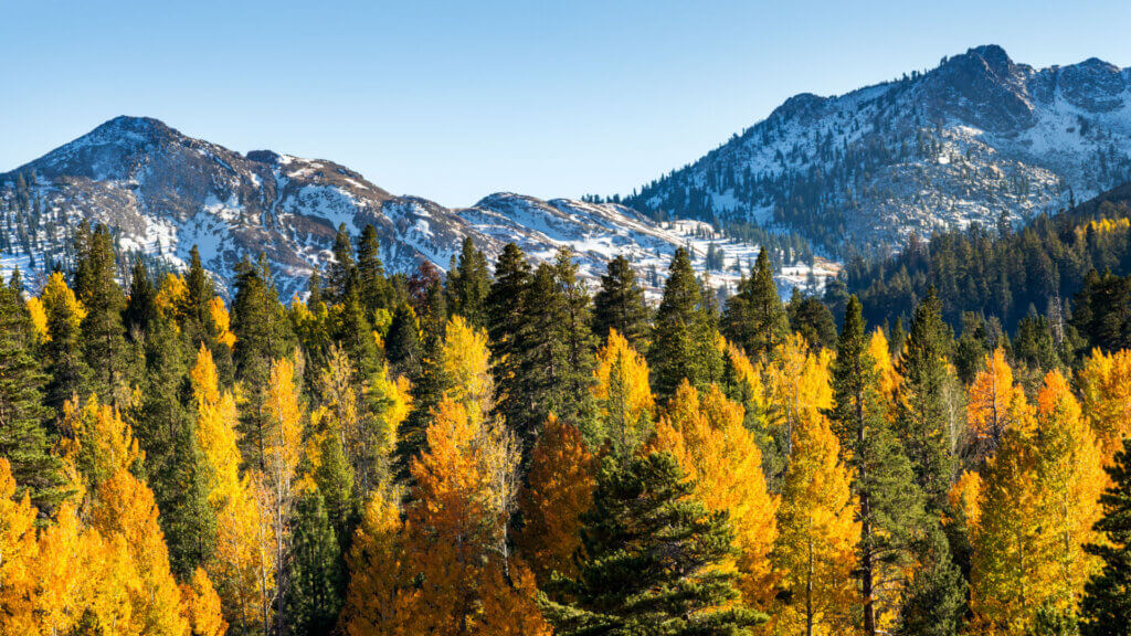 Lake Tahoe Fall Colors