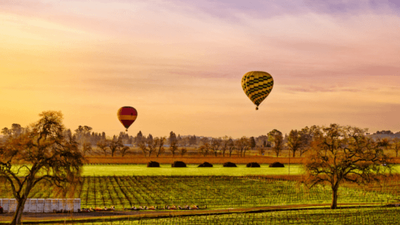 Balloons over vineyards