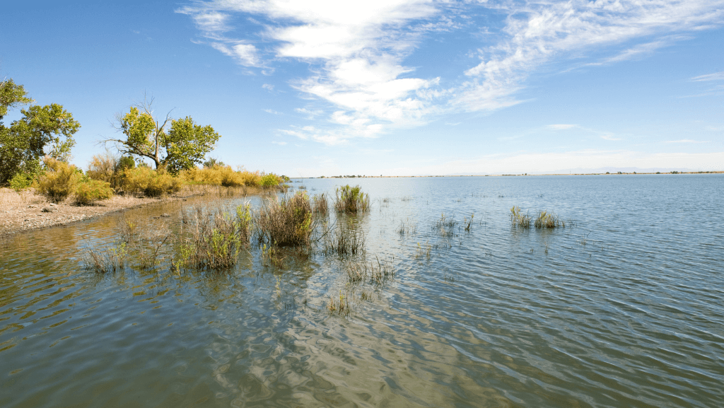 With 69 Miles of Shoreline, Lahontan Reservoir is a Great Place to Boat, Fish, and Camp