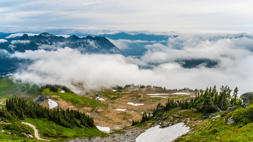 A View from Above the Clouds in Mt. Rainier National Park
